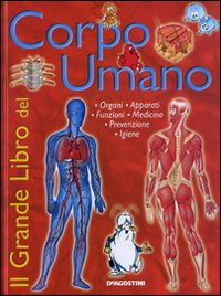 CORPO UMANO