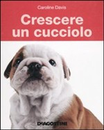 CRESCERE UN CUCCIOLO