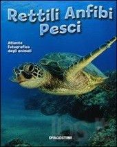 RETTILI ANFIBI PESCI