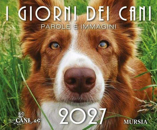 I GIORNI DEI CANI 2027