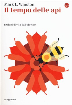 IL TEMPO DELLE API