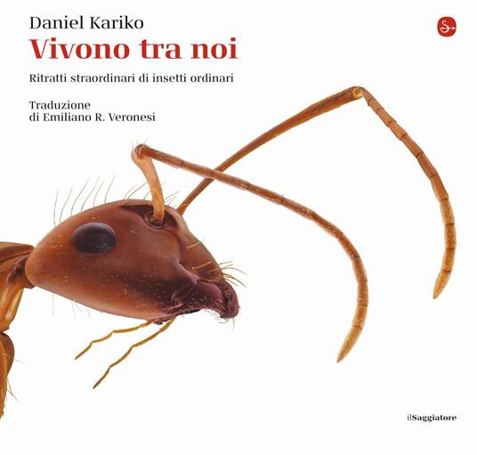 VIVONO TRA NOI
