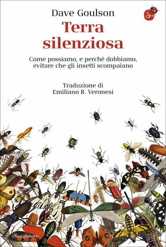 TERRA SILENZIOSA