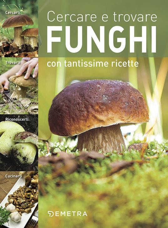CERCARE E TROVARE FUNGHI