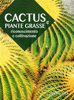 CACTUS E PIANTE GRASSE