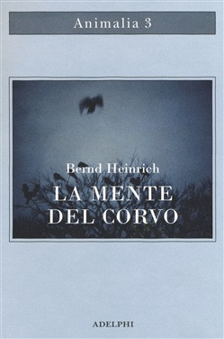 LA MENTE DEL CORVO