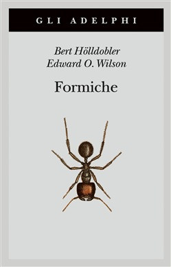 FORMICHE