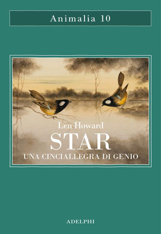STAR UNA CINCIALLEGRA DI GENIO