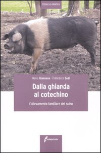 DALLA GHIANDA AL COTECHINO