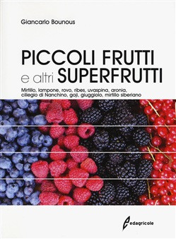 PICCOLI FRUTTI E ALTRI SUPERFRUTTI