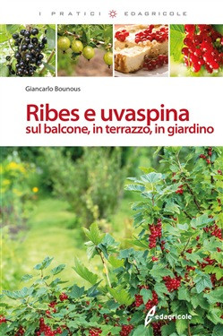 RIBES E UVASPINA