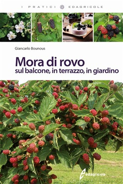 MORA DI ROVO