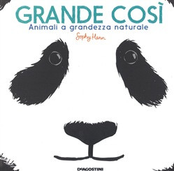 GRANDE COSI