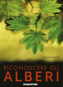 RICONOSCERE GLI ALBERI