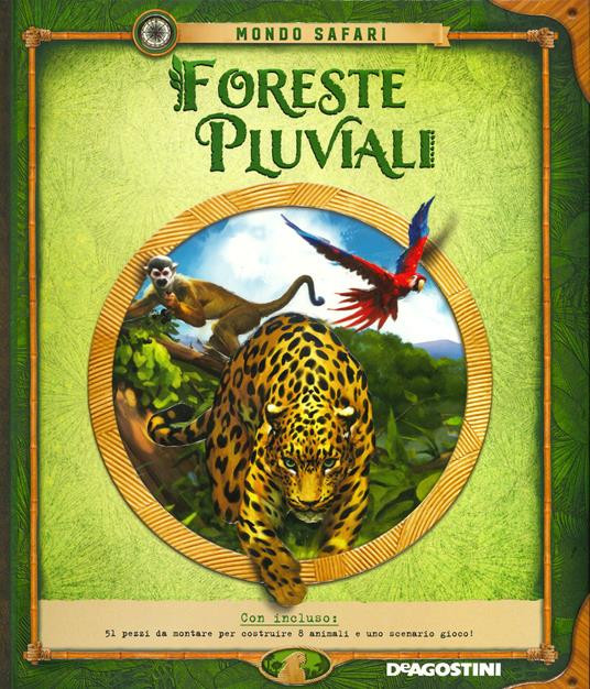FORESTE PLUVIALI