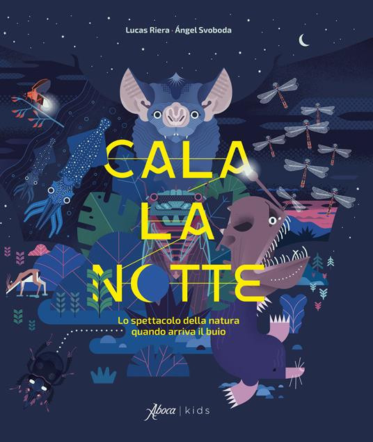 CALA LA NOTTE