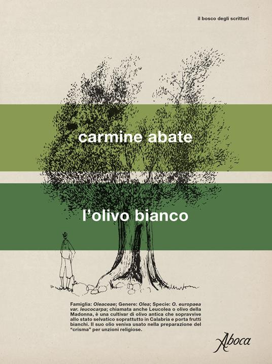 L OLIVO BIANCO