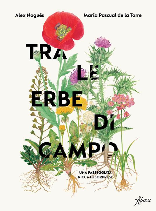 TRA LE ERBE DI CAMPO
