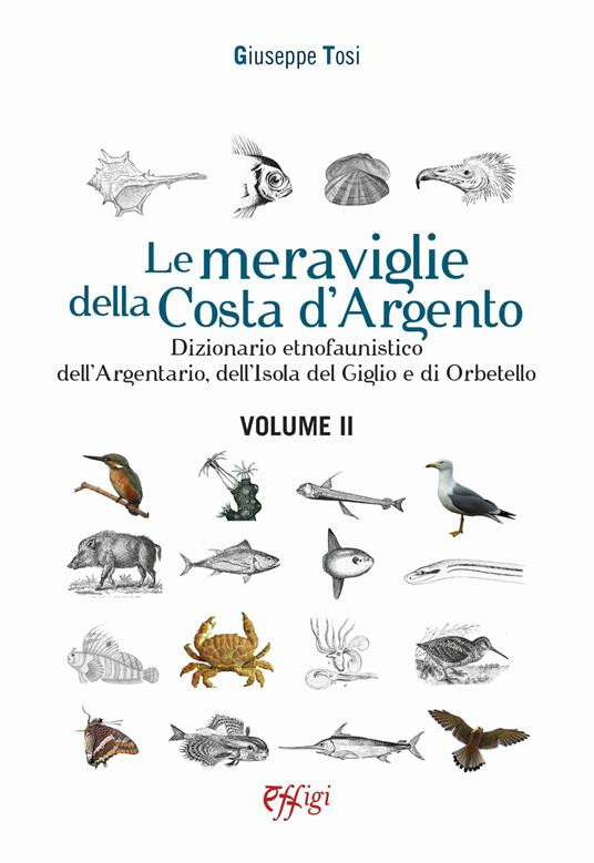 LE MERAVIGLIE DELLA COSTA D ARGENTO