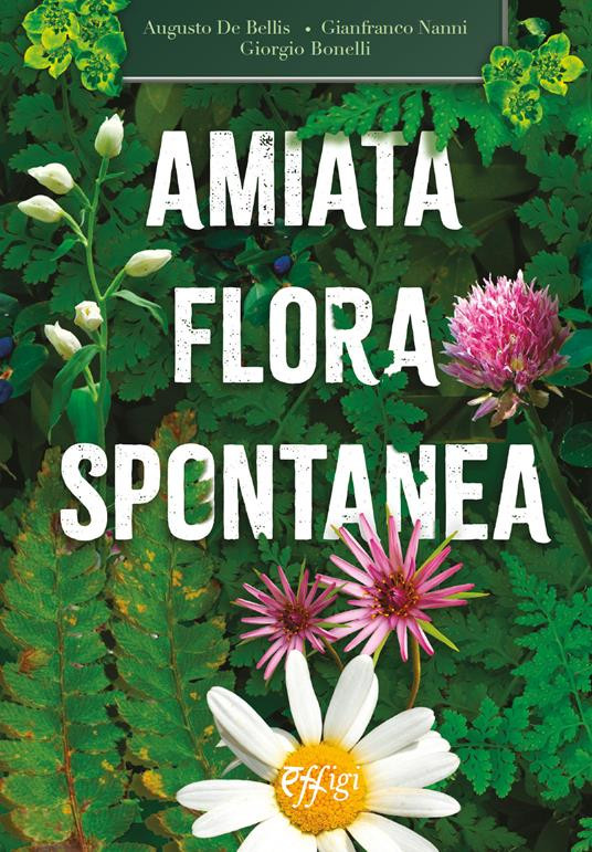 AMIATA FLORA SPONTANEA