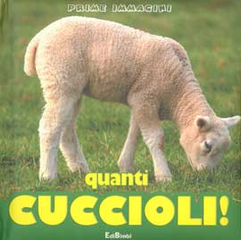 QUANTI CUCCIOLI