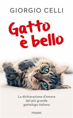 GATTO E BELLO