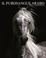 PUROSANGUE ARABO. EDIZ. MULTILINGUE