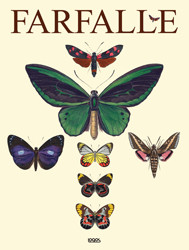 FARFALLE