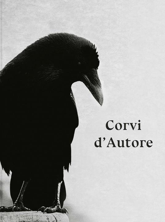 CORVI D AUTORE