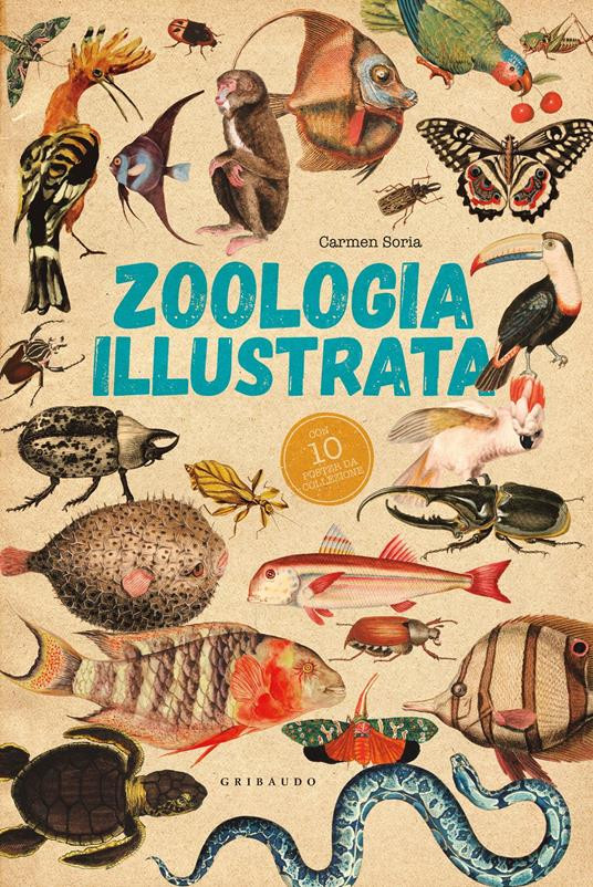 ZOOLOGIA ILLUSTRATA