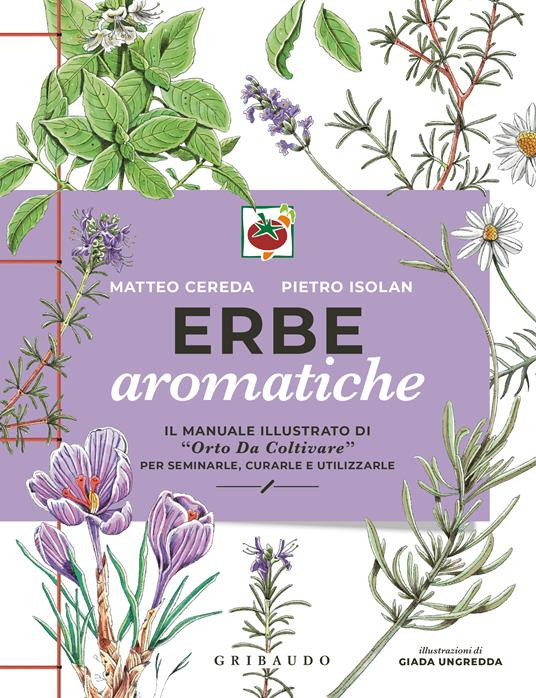 ERBE AROMATICHE