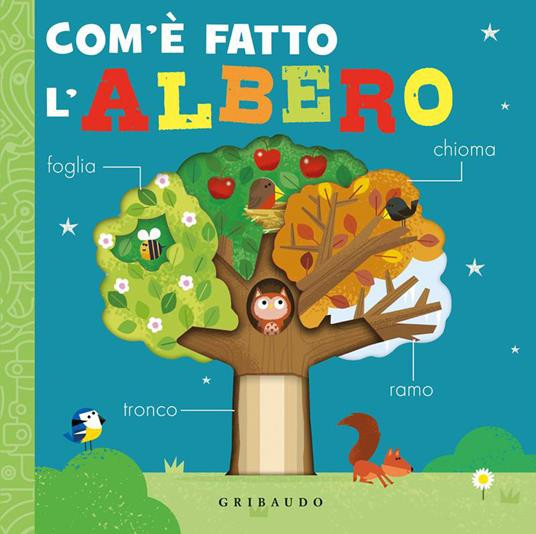 COM E FATTO L ALBERO