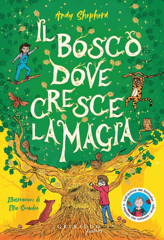 IL BOSCO DOVE CRESCE LA MAGIA