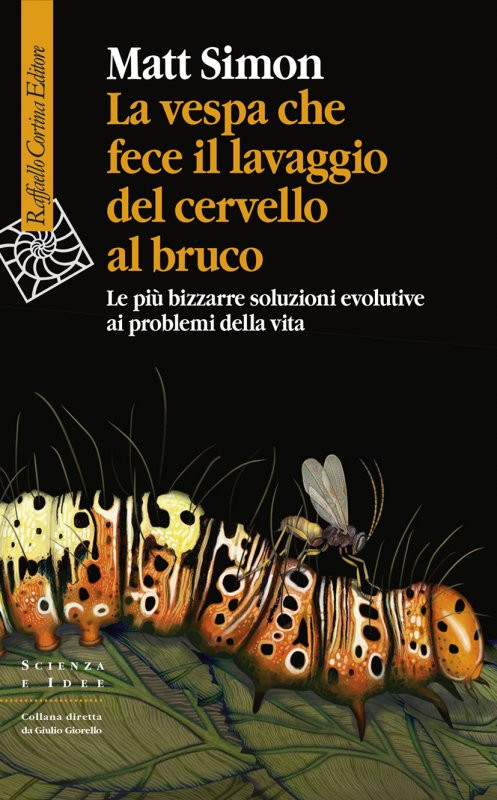 LA VESPA CHE FECE IL LAVAGGIO DEL CERVELLO AL BRUCO