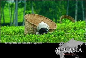 AFRIASIA