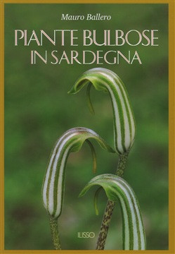 PIANTE BULBOSE IN SARDEGNA