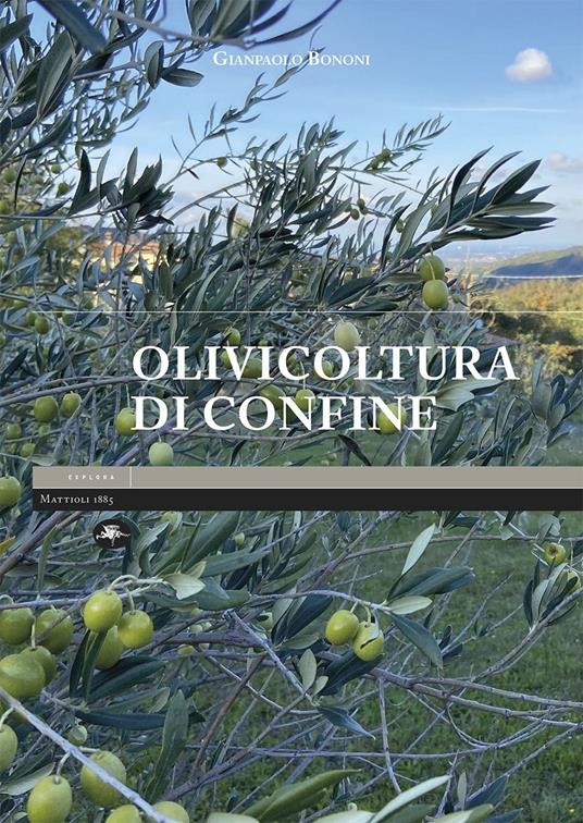 OLIVICOLTURA DI CONFINE