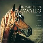 IL FASCINO DEL CAVALLO