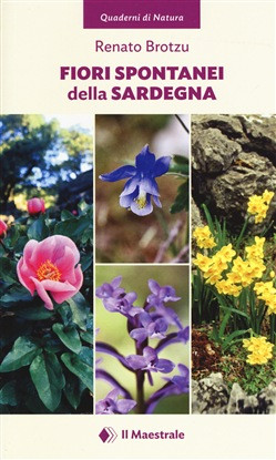 FIORI SPONTANEI DELLA SARDEGNA