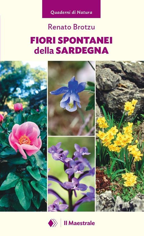 FIORI SPONTANEI DELLA SARDEGNA