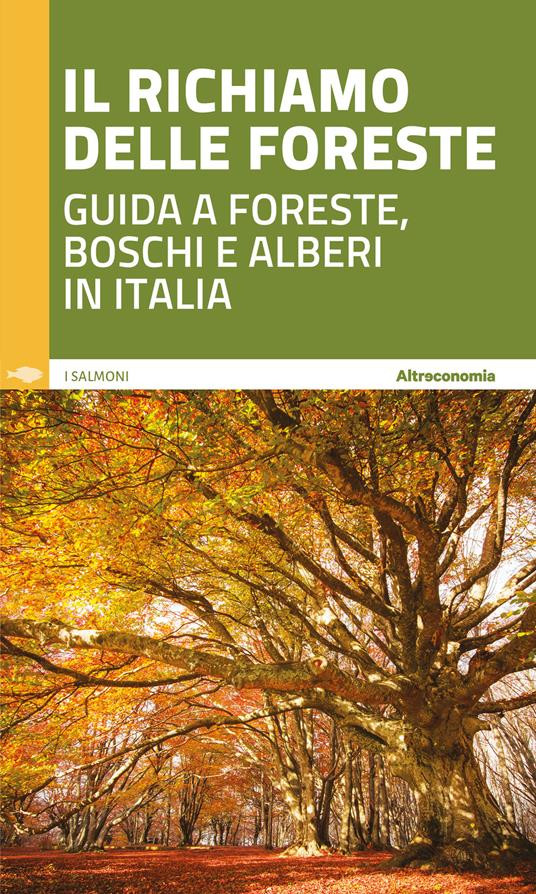 IL RICHIAMO DELLE FORESTE