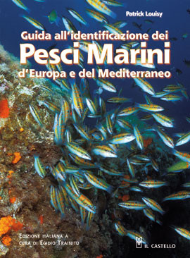 GUIDA ALL IDENTIFICAZIONE DEI PESCI MARINI D EUROPA E DEL MEDITERRANEO