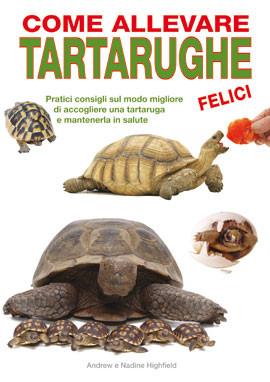 COME ALLEVARE TARTARUGHE FELICI