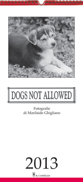 CANI. CALENDARIO 2013