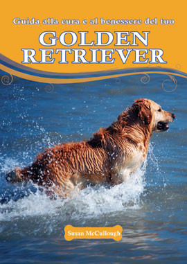GOLDEN RETRIEVER