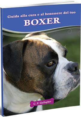 BOXER