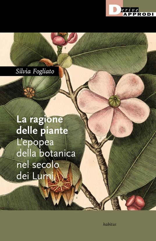 LA RAGIONE DELLE PIANTE