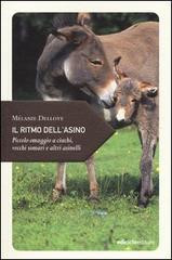 IL RITMO DELL ASINO