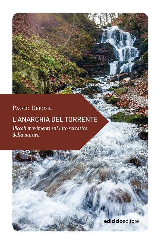 L ANARCHIA DEL TORRENTE