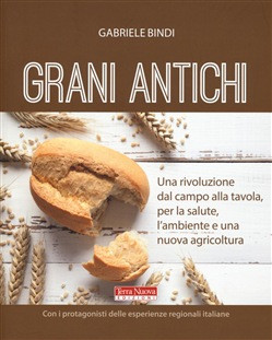 GRANI ANTICHI